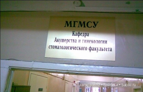 Немного хорошего настроения или нарочно не придумаешь (фото 3)