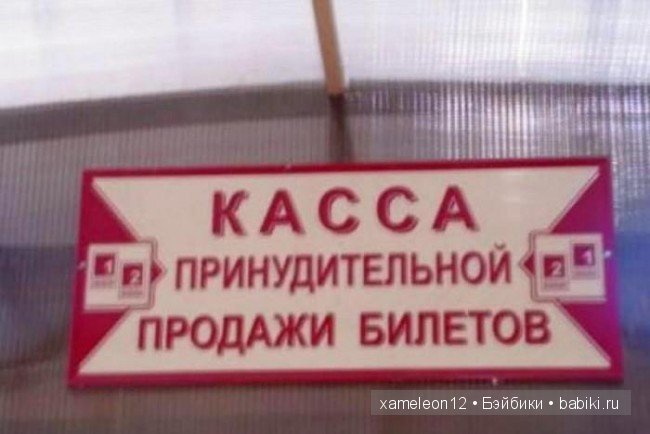 Немного хорошего настроения или нарочно не придумаешь (фото 7)