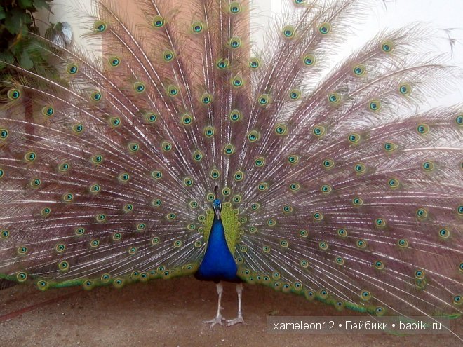 Путешествие по Европе. Чехия. Прага