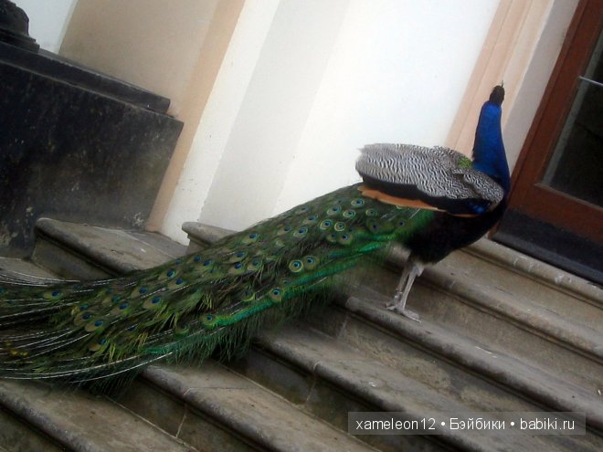 Путешествие по Европе. Чехия. Прага