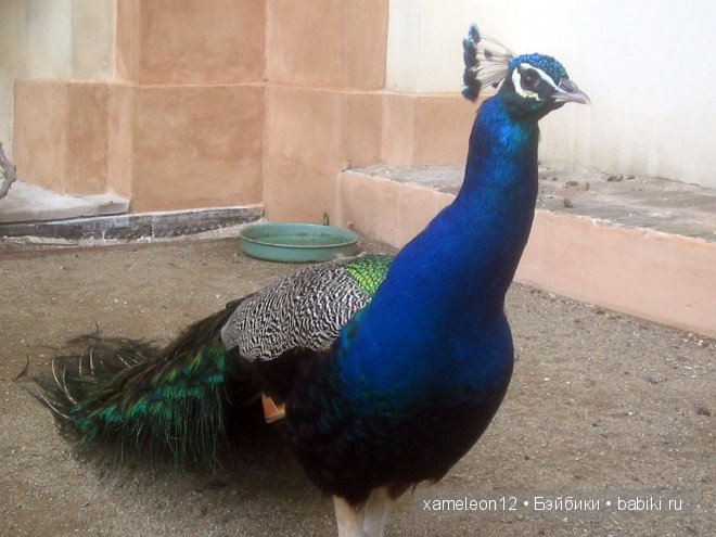 Путешествие по Европе. Чехия. Прага