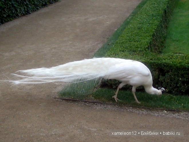 Путешествие по Европе. Чехия. Прага