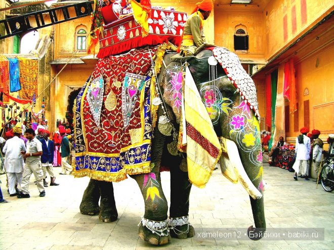 Красота по-индийски от автора Jane Zidjunas (фото 3)