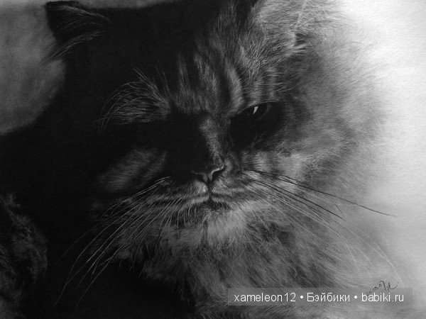 Невероятно реалистичные рисунки карандашом от PAUL LUNG (фото 8)