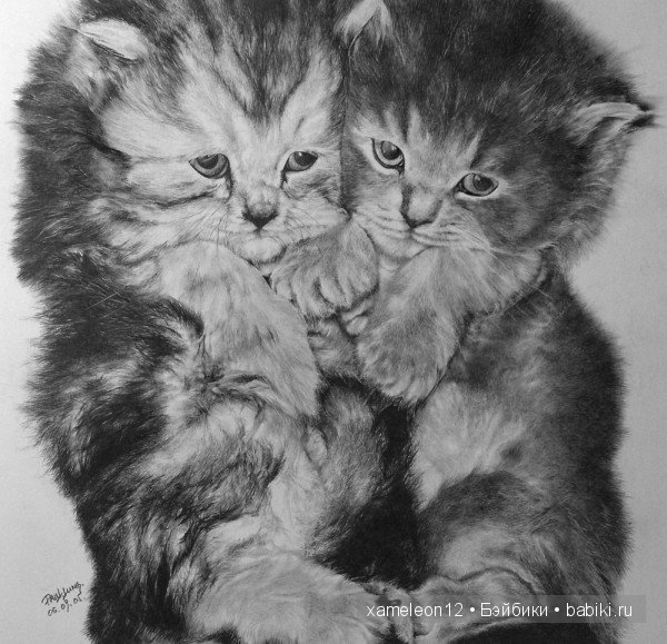 Невероятно реалистичные рисунки карандашом от PAUL LUNG (фото 9)