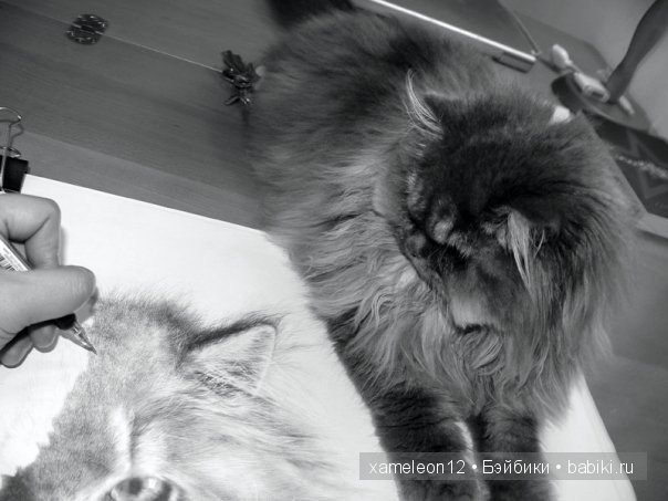 Невероятно реалистичные рисунки карандашом от PAUL LUNG