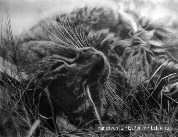 Невероятно реалистичные рисунки карандашом от PAUL LUNG (фото 7)