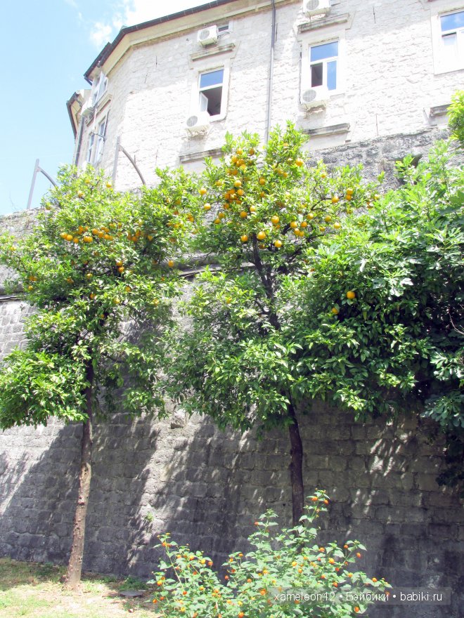 Прогулка по Черногории. Часть 1. Город Котор и Боко-Которский залив