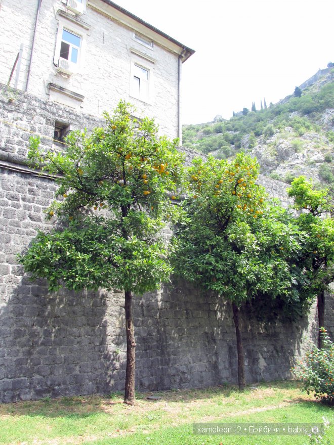 Прогулка по Черногории. Часть 1. Город Котор и Боко-Которский залив