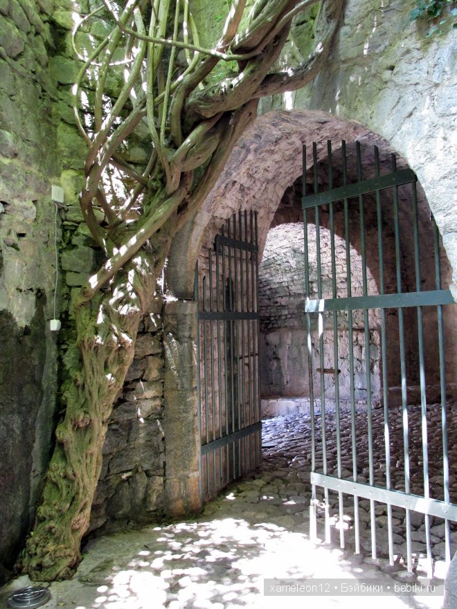 Черногория. Часть 2. Старый город Бар (фото 5)