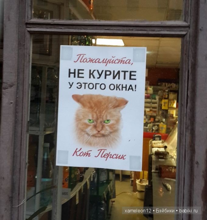 Вывески поднимающие настроение | Бэйбики Вывески поднимающие настроение