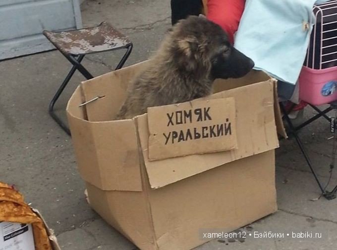 Вывески поднимающие настроение | Бэйбики Вывески поднимающие настроение