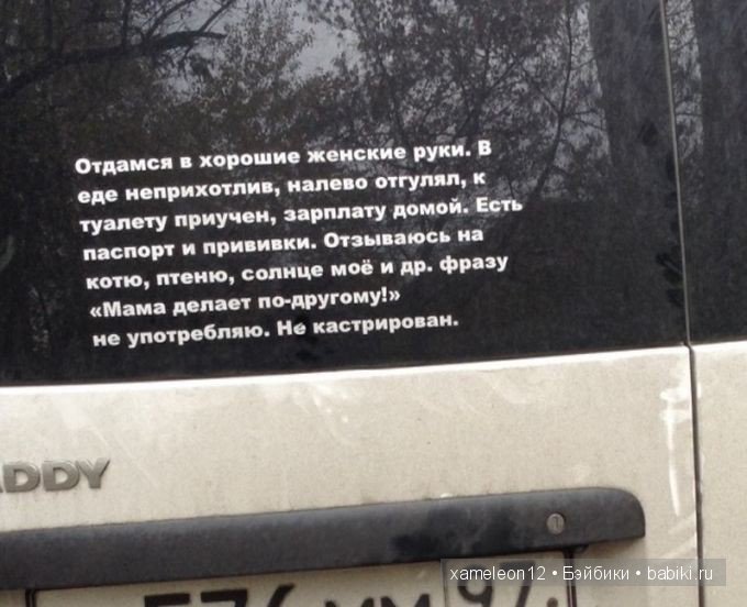 Вывески поднимающие настроение | Бэйбики Вывески поднимающие настроение