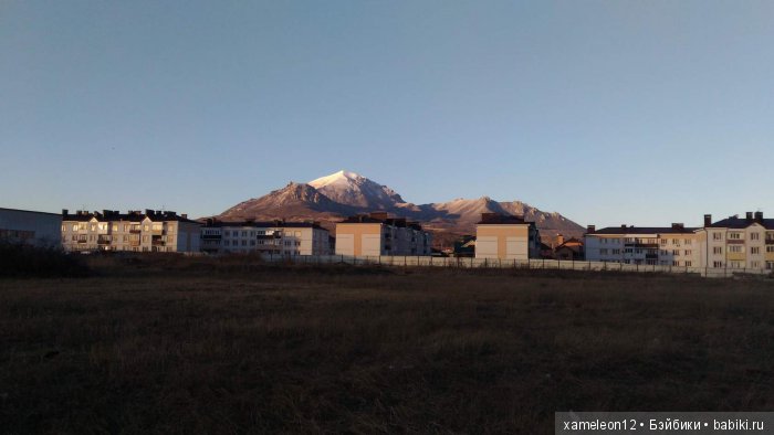 Памяти моей девочки Альмочки, посвящается