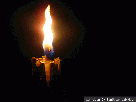 Памяти моей девочки Альмочки, посвящается