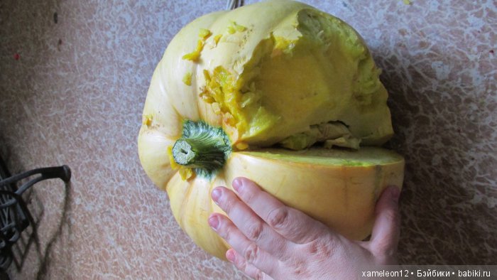 Памяти моей девочки Альмочки, посвящается