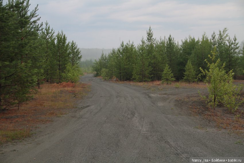 Как мы с Эмми в поход ходили (фото 5)