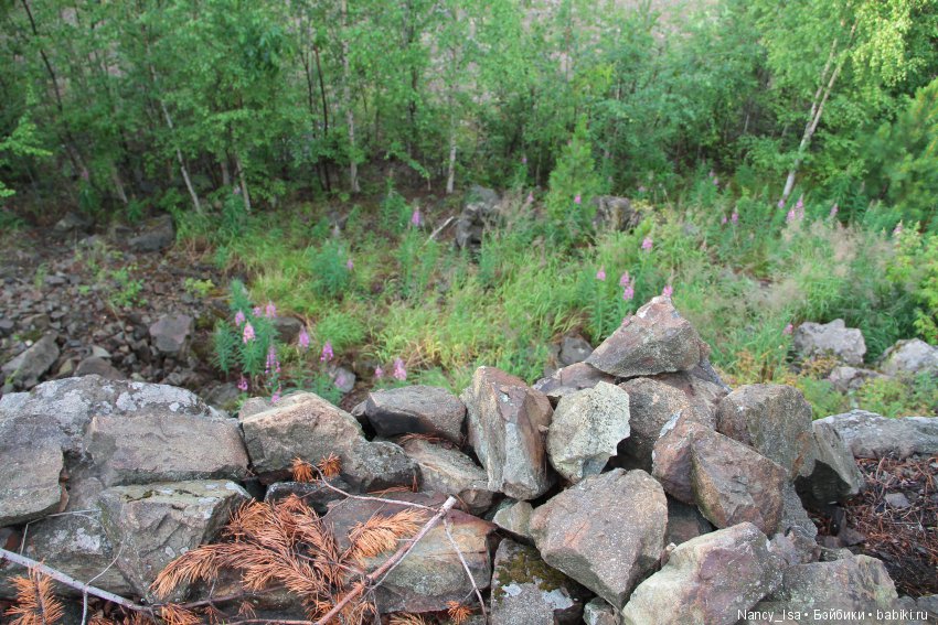 Как мы с Эмми в поход ходили