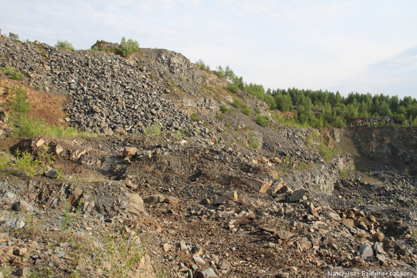 Как мы с Эмми в поход ходили