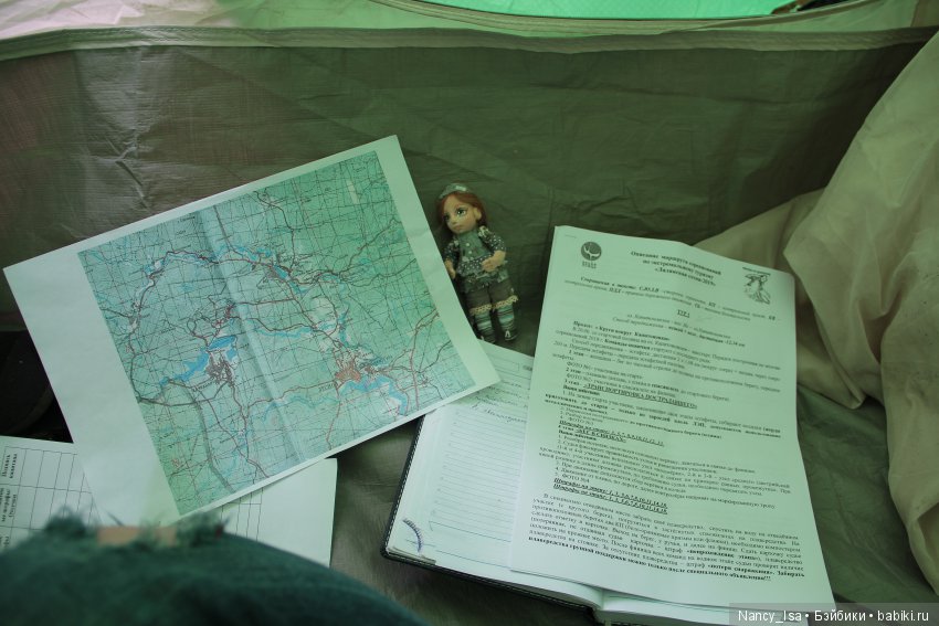 Как мы с Эмми в поход ходили (фото 4)