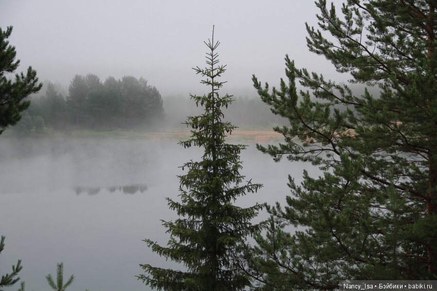 Как мы с Эмми в поход ходили (фото 8)