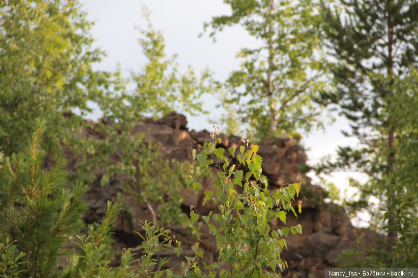 Как мы с Эмми в поход ходили