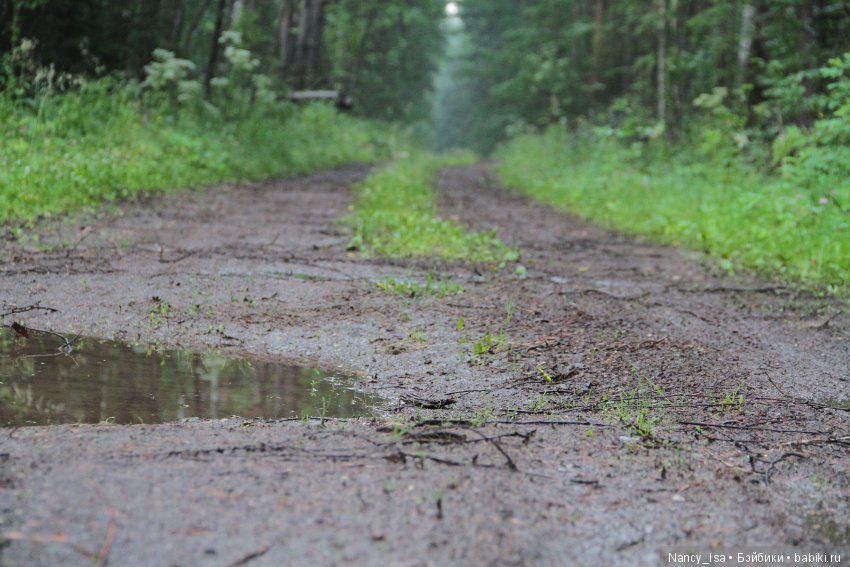 Как мы с Эмми в поход ходили (фото 10)