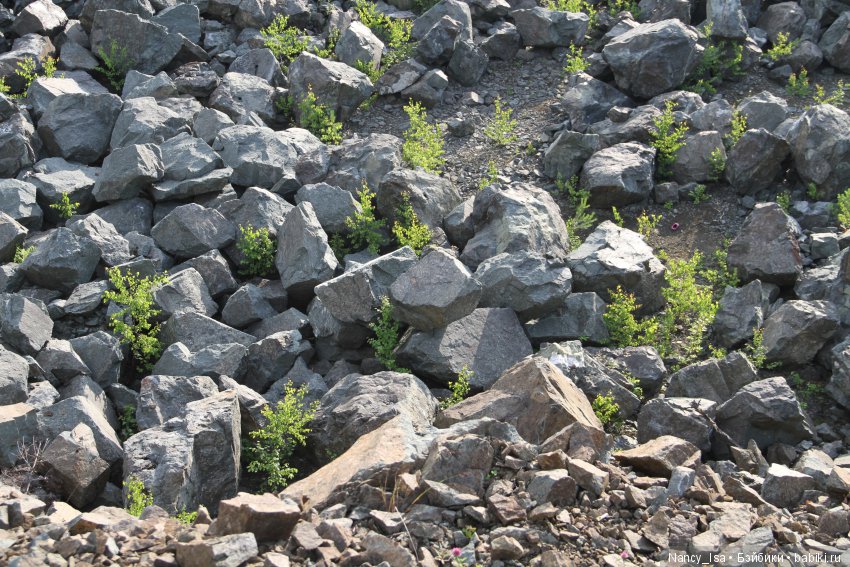 Как мы с Эмми в поход ходили