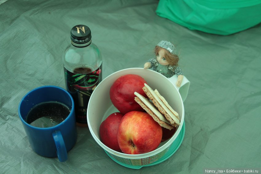 Как мы с Эмми в поход ходили (фото 2)