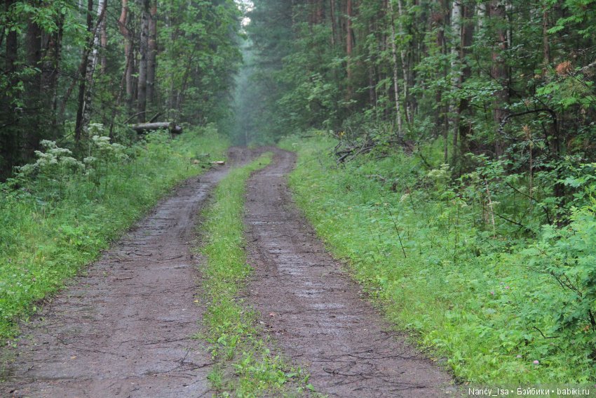 Как мы с Эмми в поход ходили (фото 9)