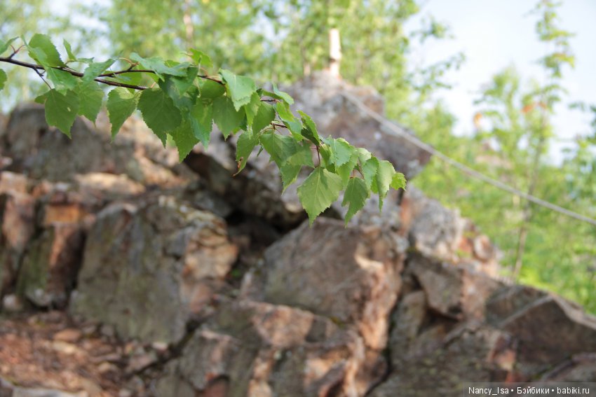 Как мы с Эмми в поход ходили