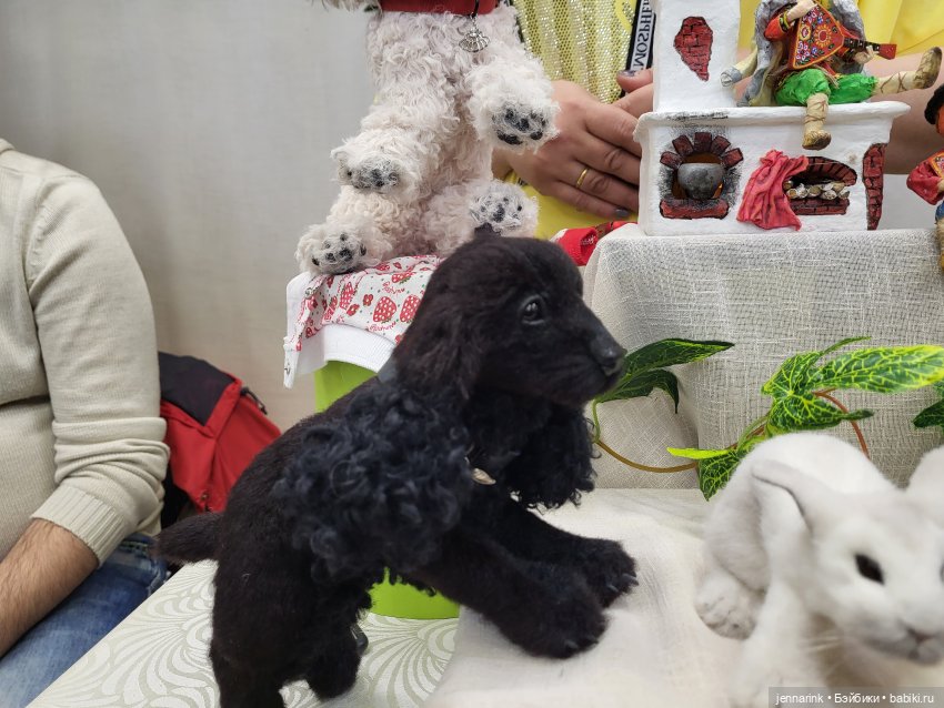 Мои "пять копеек" о выставке "Время кукол 2022" (фото 10)