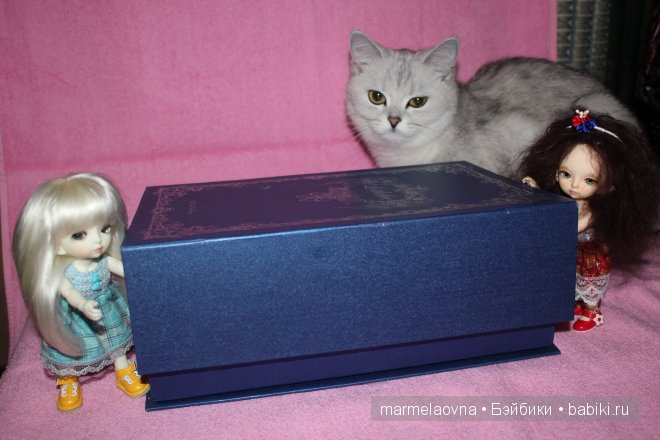 Через пару дней мама вновь привезла большую коробку....