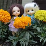 Как мои малышки ездили на дачу к друзьям