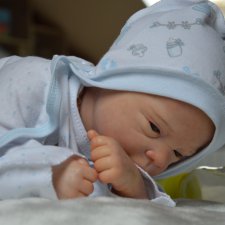 Часть 1  Начало... Наша рождественская история