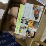 Молд Феникс Andrea Arcello оригинал