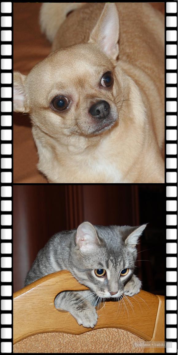 коллекционные куклы дети