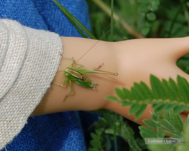 Bettina Feigenspan-Hirsch / Zapf   Ольга