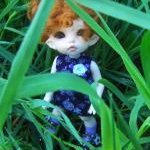 Прогулка Ириски! БЖД Пукифи Антэ