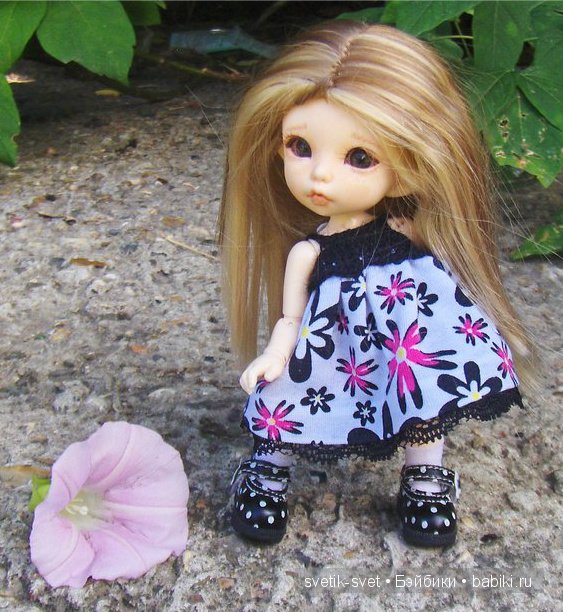 Маленькая прогулка Зоиньки (БЖД Пукифи Антэ) (фото 6)