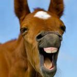 Благодаря рекламе мы узнали что... или посмеемся еще?