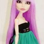 Новая кукложительница (ооак Монстр Хай)