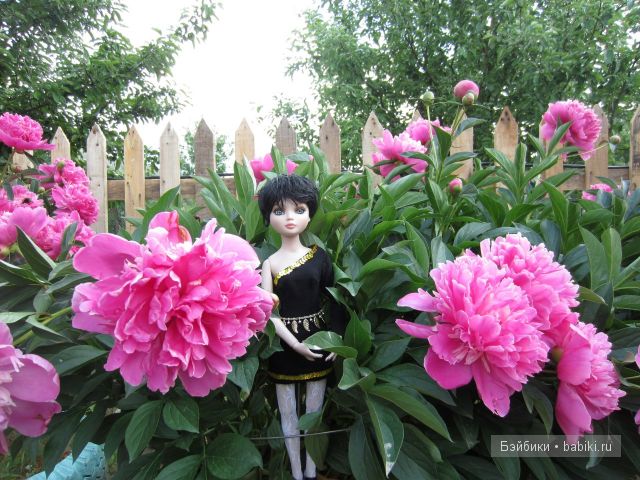 Элловайн от Тоннера.