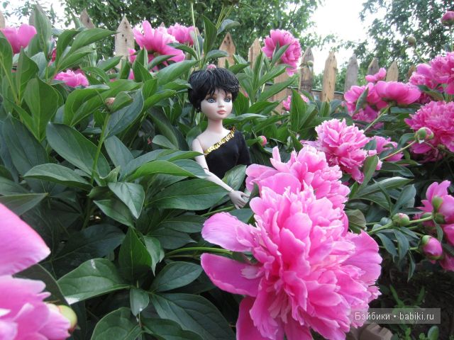 Элловайн от Тоннера.