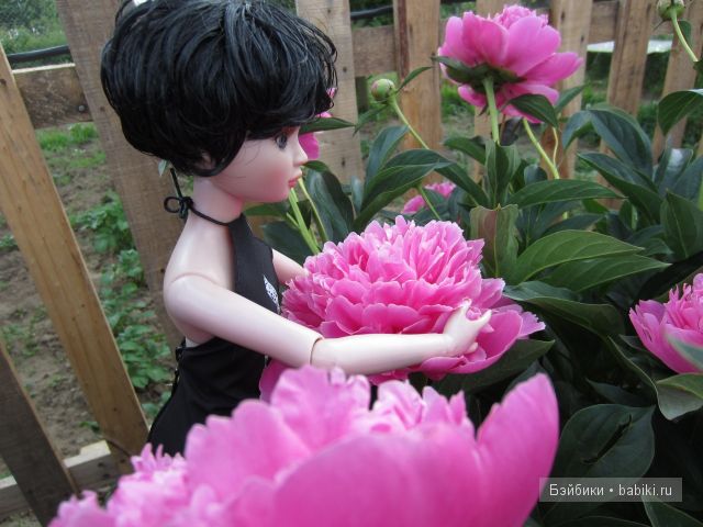 Элловайн от Тоннера.