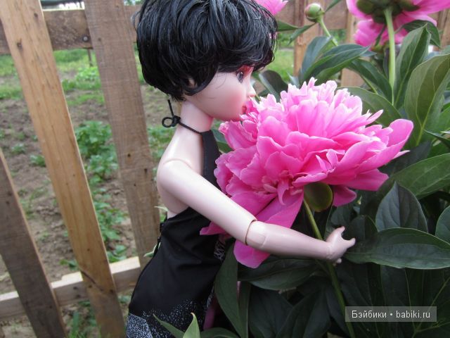 Элловайн от Тоннера.