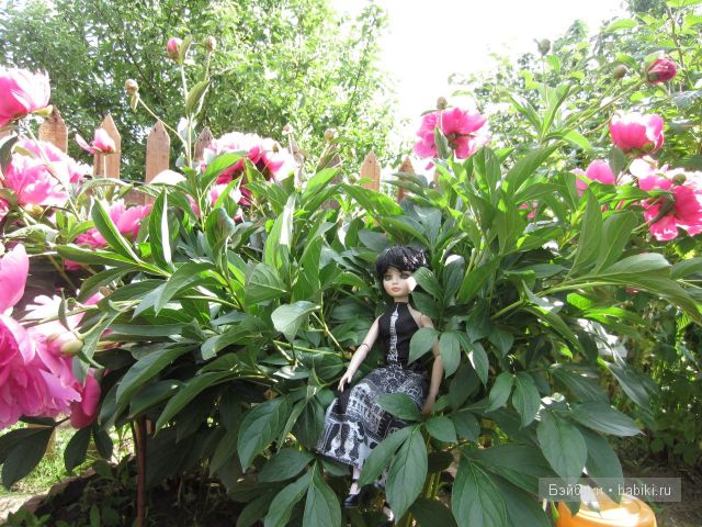 Элловайн от Тоннера.