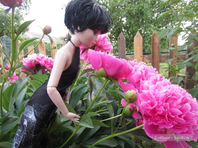 Элловайн от Тоннера.