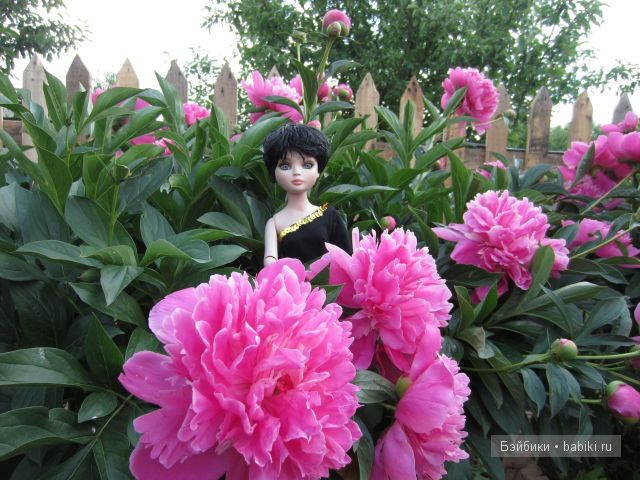 Элловайн от Тоннера.