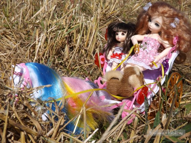 БЖД пукифи. БЖД пукифи.